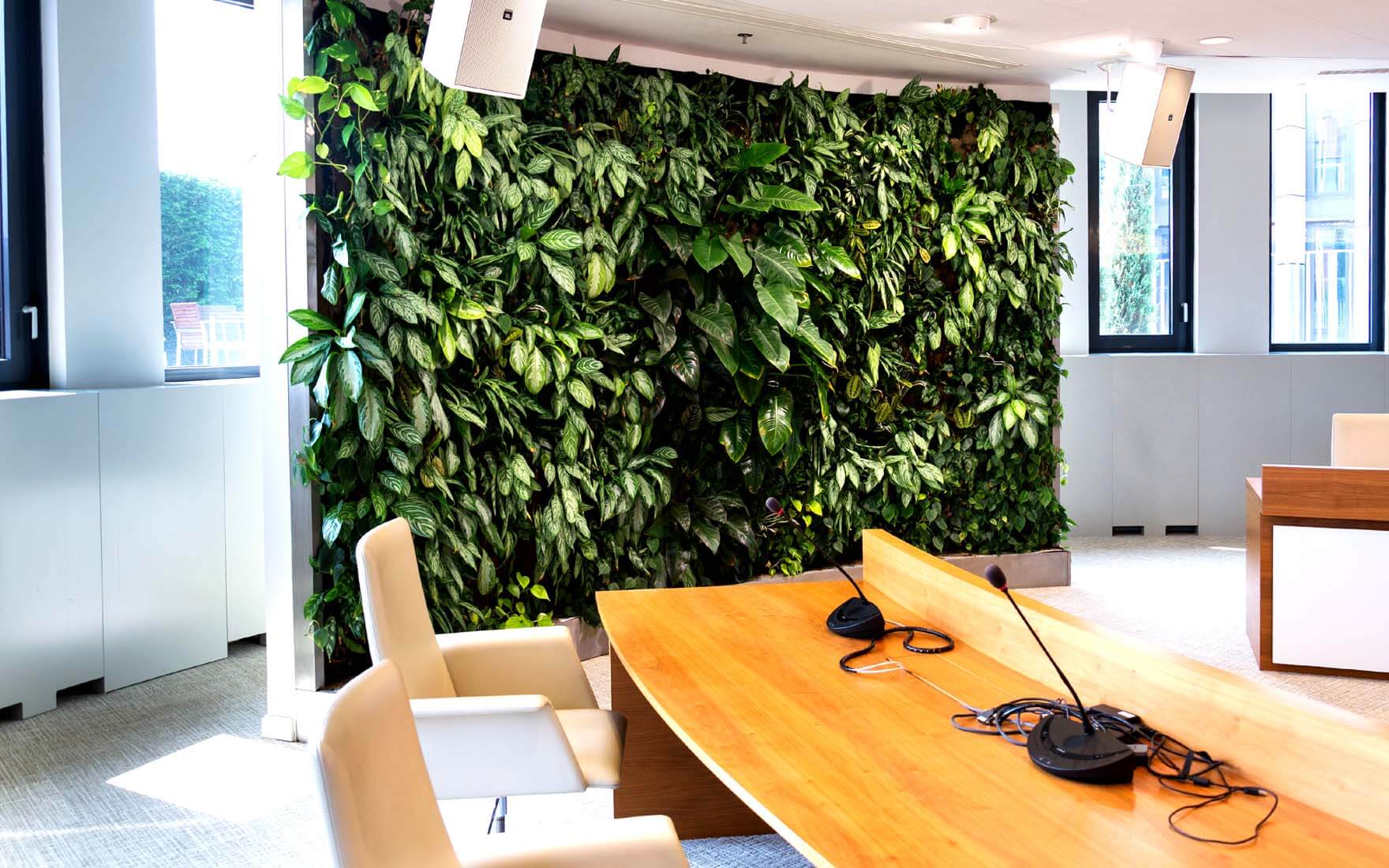 Zielona przestrzeń - odpowiednie warunki warunki w biurze.